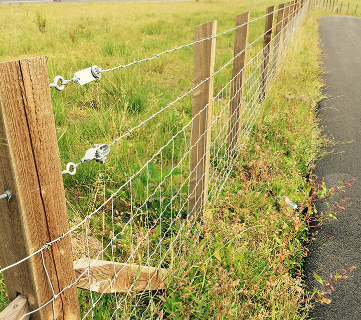 Sheep Wire Samson Wire & Fencing